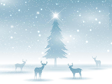 节日 圣诞节 Christmas Tree Reindeer 高清壁纸 5000x3750