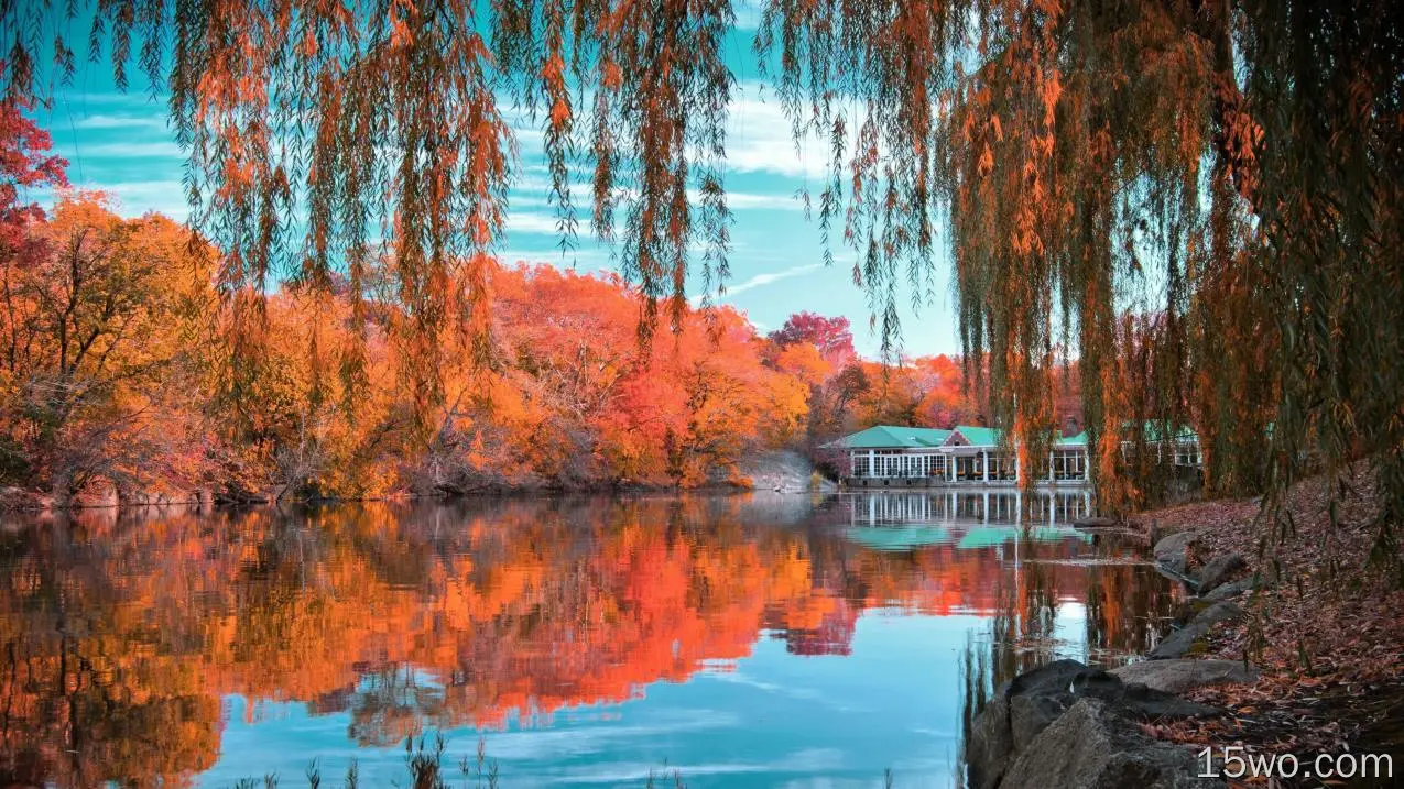 人造 Central Park 倒影 秋季 Foliage 树 Pond 高清壁纸
