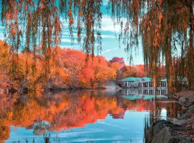 人造 Central Park 倒影 秋季 Foliage 树 Pond 高清壁纸 3840x2160