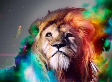 动物 狮子 猫 艺术 Colorful 高清壁纸 2560x1440