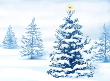 雪中的天然圣诞树高清电脑壁纸下载 2880x1800