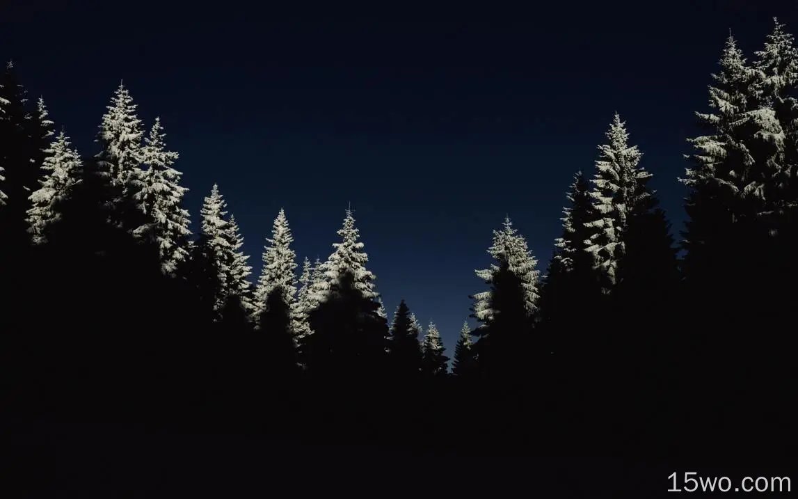 nl43木材冬季夜山最低
