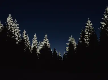 nl43木材冬季夜山最低 3840x2400