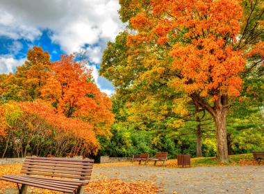 秋天，秋天，树，公园，云，树叶 3840x2160
