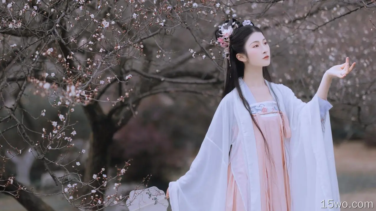中国女人，传统服装，樱花，春天