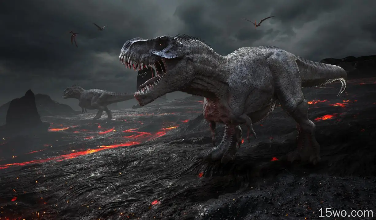 动物 恐龙 Tyrannosaurus Rex 高清壁纸