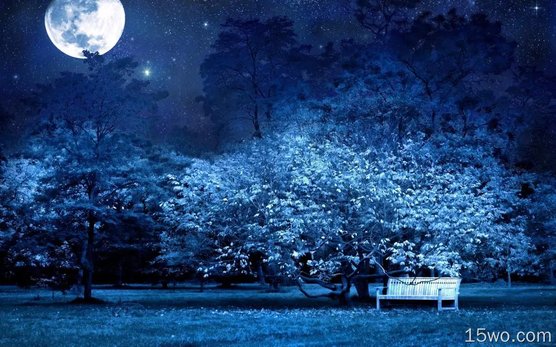月亮、长凳、风景、夜晚、树木