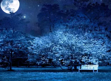 月亮、长凳、风景、夜晚、树木 2560x1600