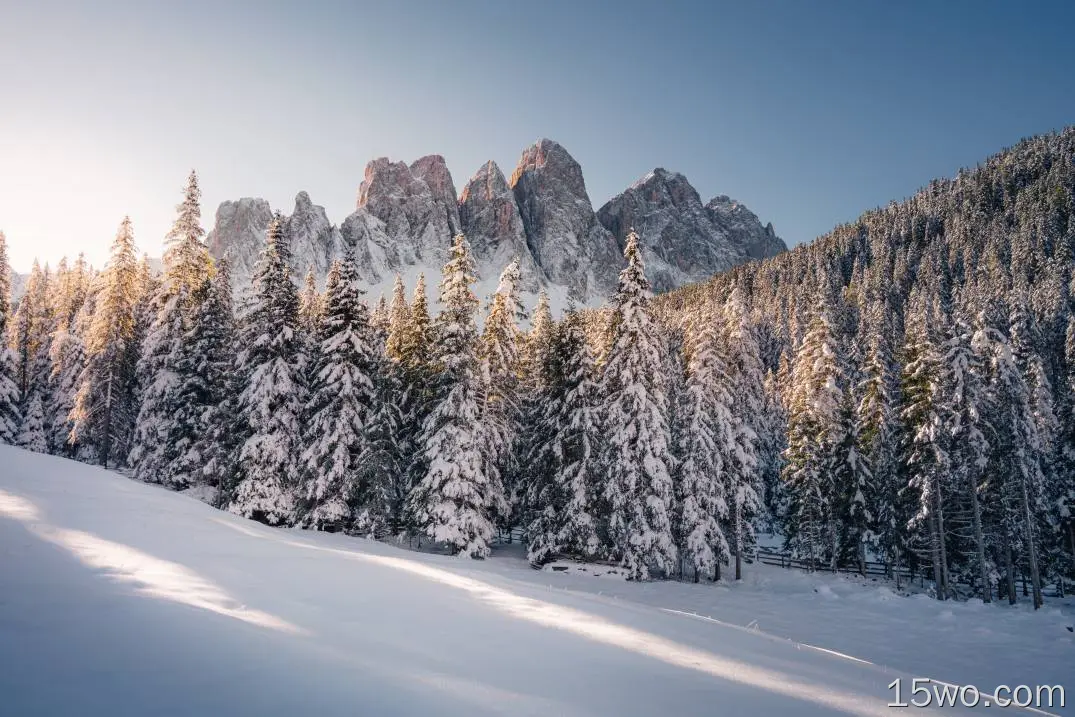 冬天,阿尔卑斯山,法国,加拿大,落叶松,壁纸,7927x5288