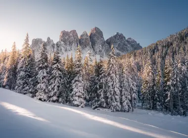 冬天,阿尔卑斯山,法国,加拿大,落叶松,壁纸,7927x5288 7927x5288