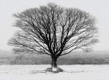 自然 冬季 树 高清壁纸 3840x2160