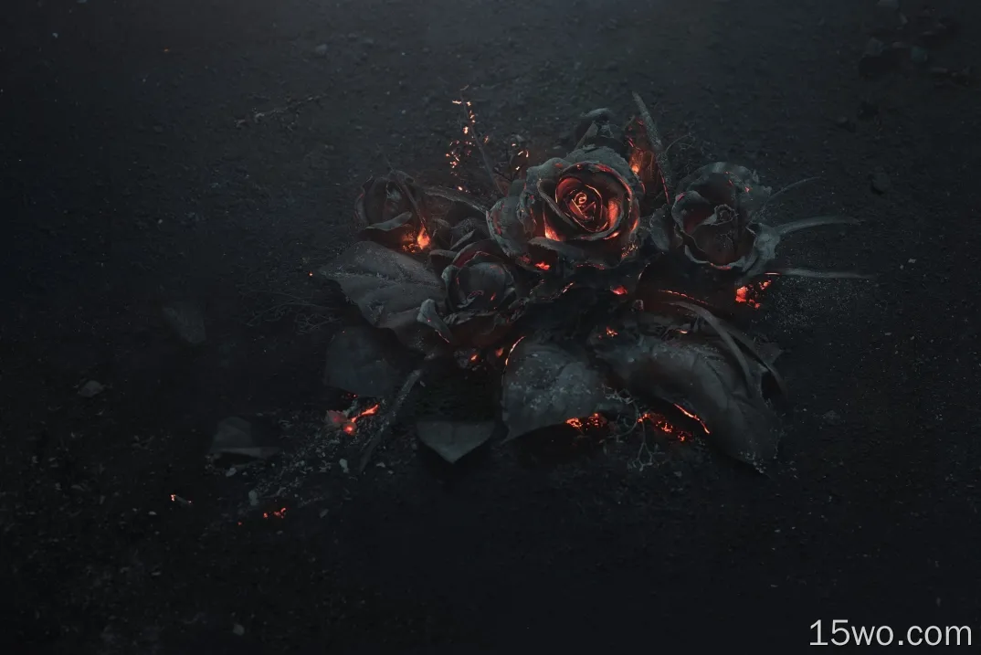 玫瑰灰，火，黑色，黑色主题