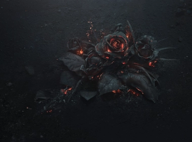 玫瑰灰，火，黑色，黑色主题 5000x3337