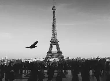 mu80巴黎埃菲尔铁塔之旅法国黑bw鸟 3840x2400