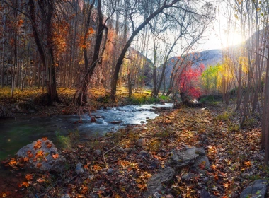 秋天，河，树，叶子，石头，阳光 3840x2160