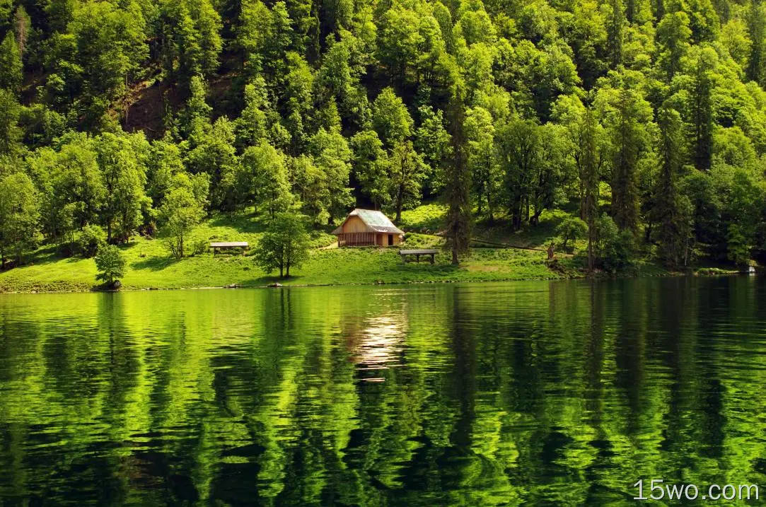 湖水 森林 房屋