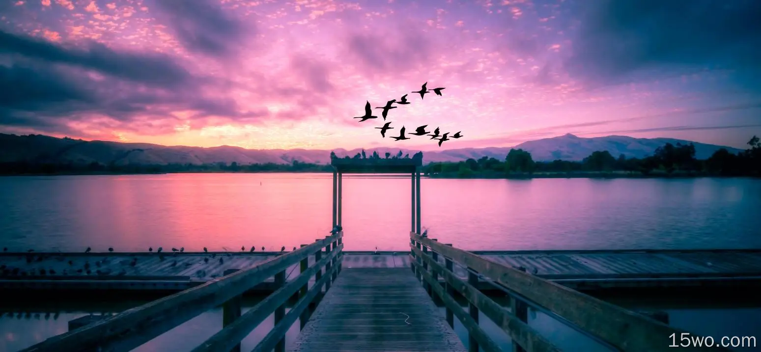 加利福尼亚州伊丽莎白湖，日出，鸟类，风景，美国，码头