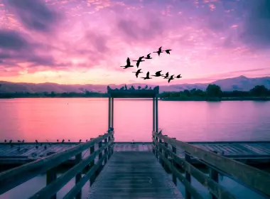 加利福尼亚州伊丽莎白湖，日出，鸟类，风景，美国，码头 6006x2780