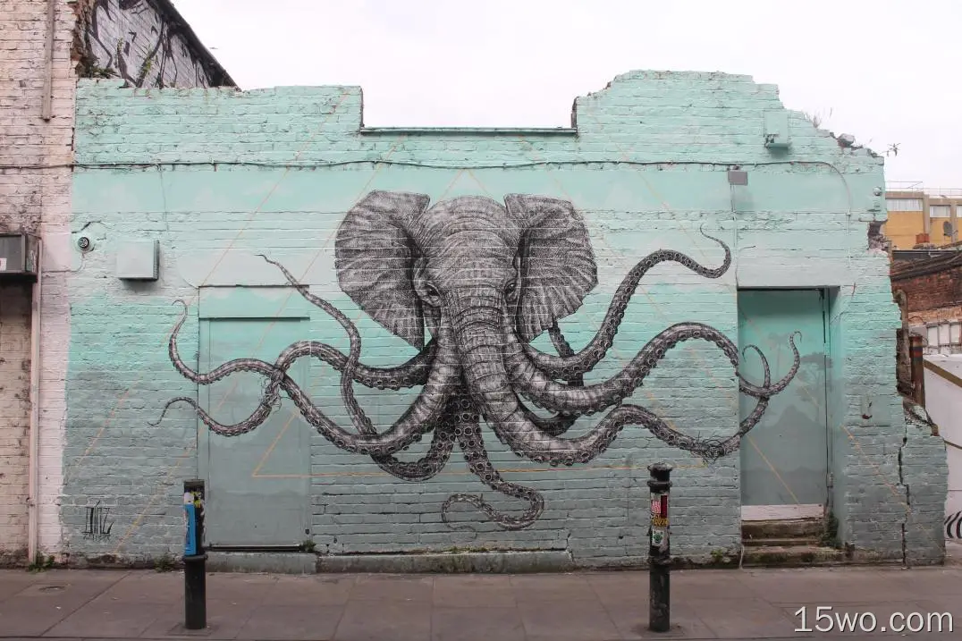 街头艺术、墙壁、生物、大象、涂鸦、章鱼