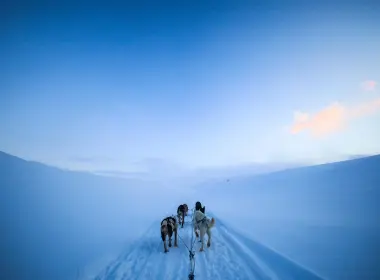 斯瓦尔巴特，挪威，雪橇，雪，狗 5120x3200