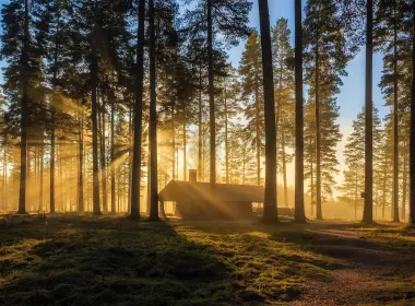 摄影 Sunbeam 木屋 森林 大自然 树 阳光 高清壁纸 3840x2160