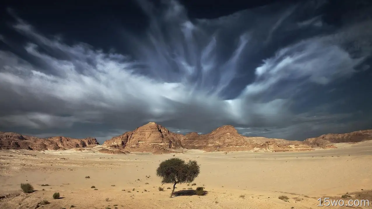 自然 沙漠 Sand 云 树 高清壁纸