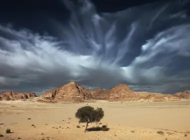 自然 沙漠 Sand 云 树 高清壁纸 2518x1416