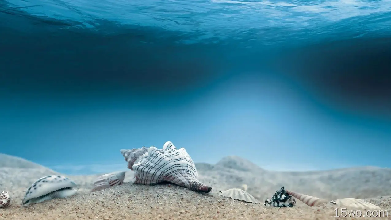 海底 沙子 海螺 蓝色海洋