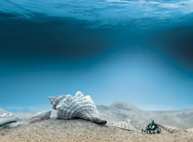 海底 沙子 海螺 蓝色海洋 3840x2160