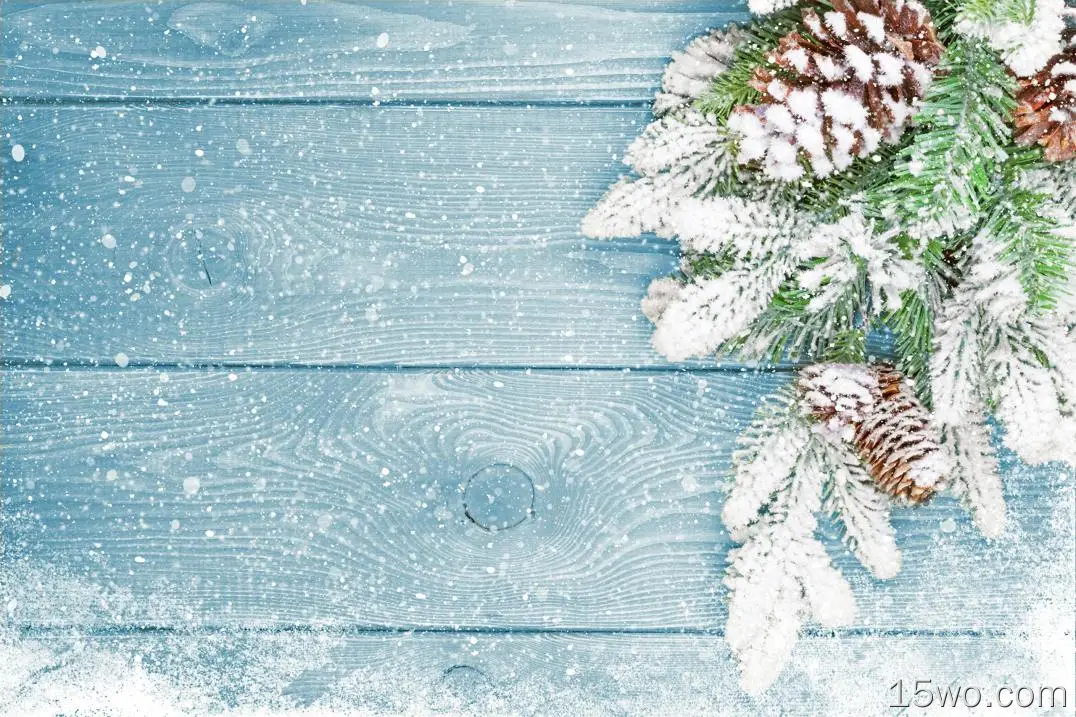 摄影 冬季 木质 Snow Pine Cone 高清壁纸