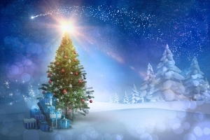 节日 圣诞节 Christmas Tree 礼物 冬季 高清壁纸  2560x1706
