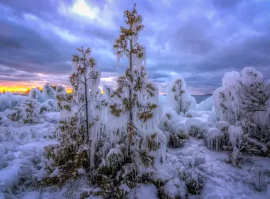自然 冬季 日落 云 地球 Snow 树 冰雪奇缘 高清壁纸 3600x2400