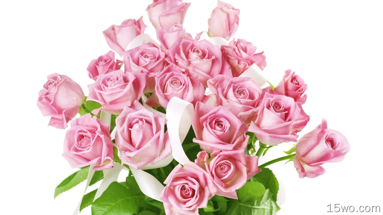 粉红色的玫瑰，花束，白色背景