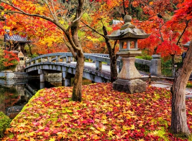 人造 桥 秋季 日本 Foliage 高清壁纸 3840x2160