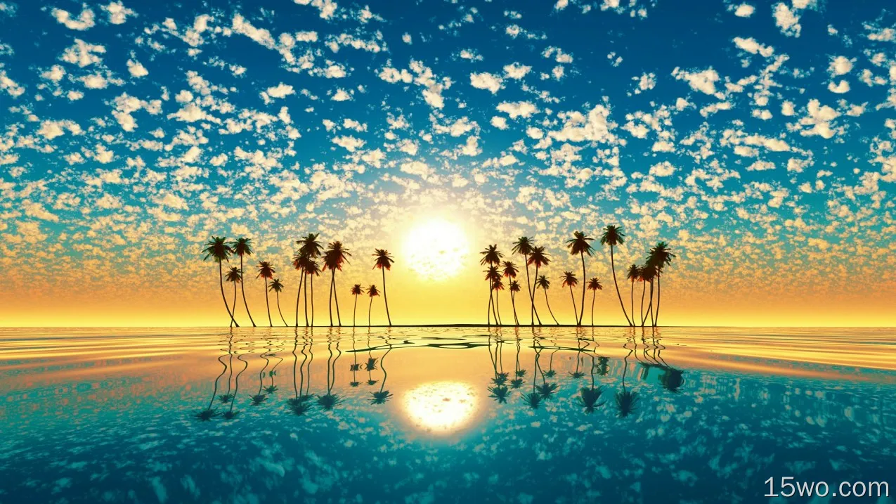 自然 日落 太阳 地球 热带 棕榈 Horizon 倒影 高清壁纸