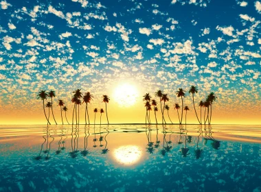 自然 日落 太阳 地球 热带 棕榈 Horizon 倒影 高清壁纸 3840x2160