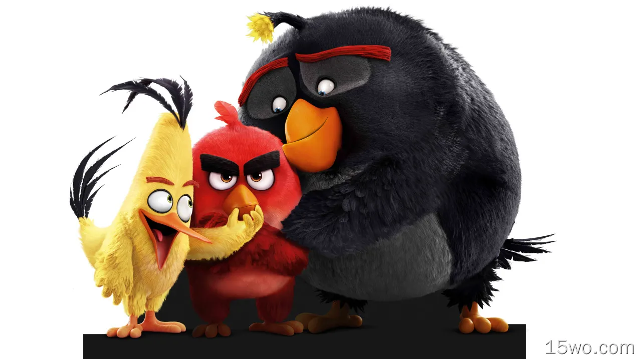 电影 The Angry Birds Movie 愤怒的小鸟 高清壁纸