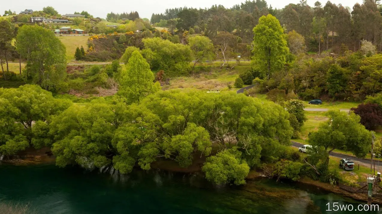 新西兰怀卡托区，树木，河流，公园，房屋