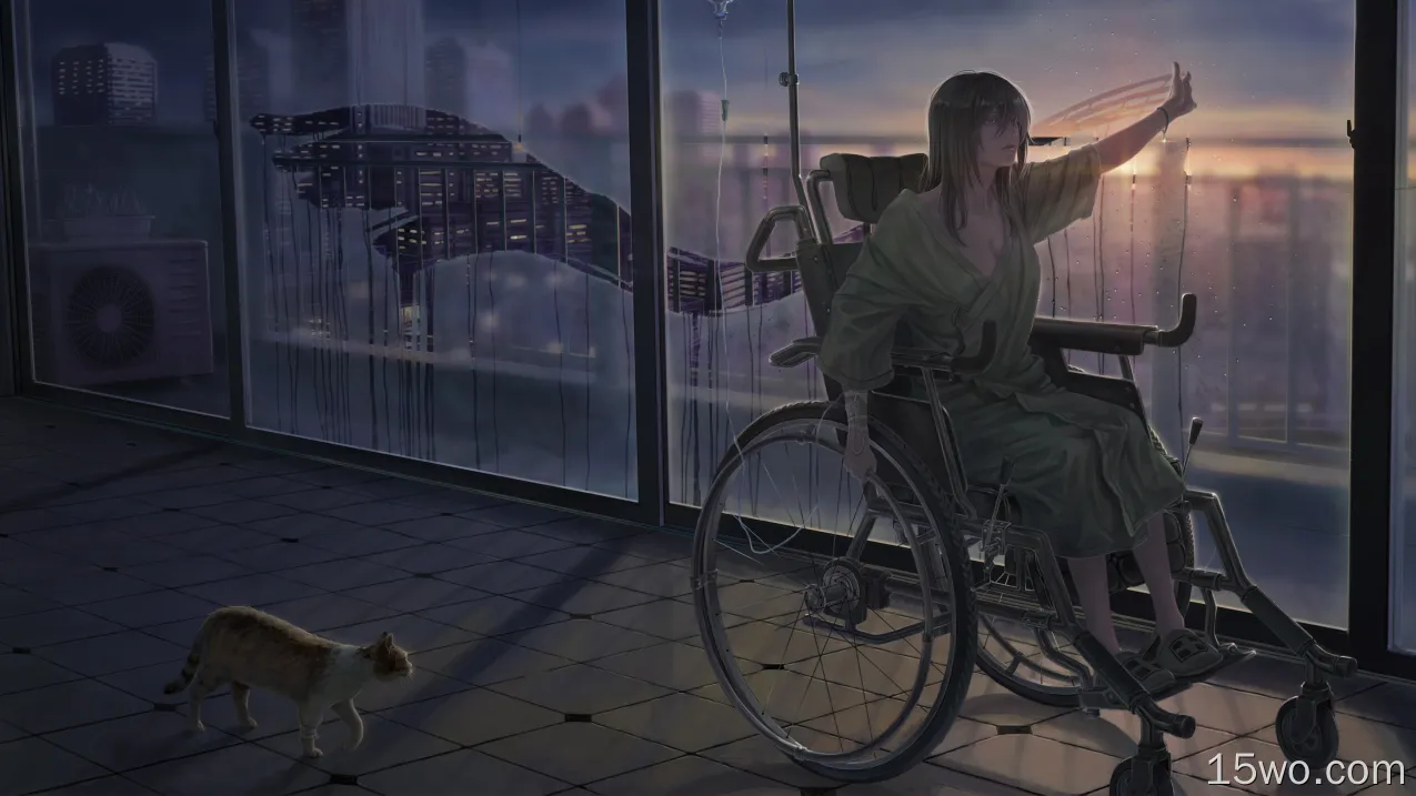 动漫 女孩 Anime 猫 Wheelchair 高清壁纸