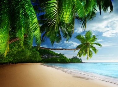 自然 热带 棕榈 海滨 地球 海滩 海洋 Sea 高清壁纸 3840x2160