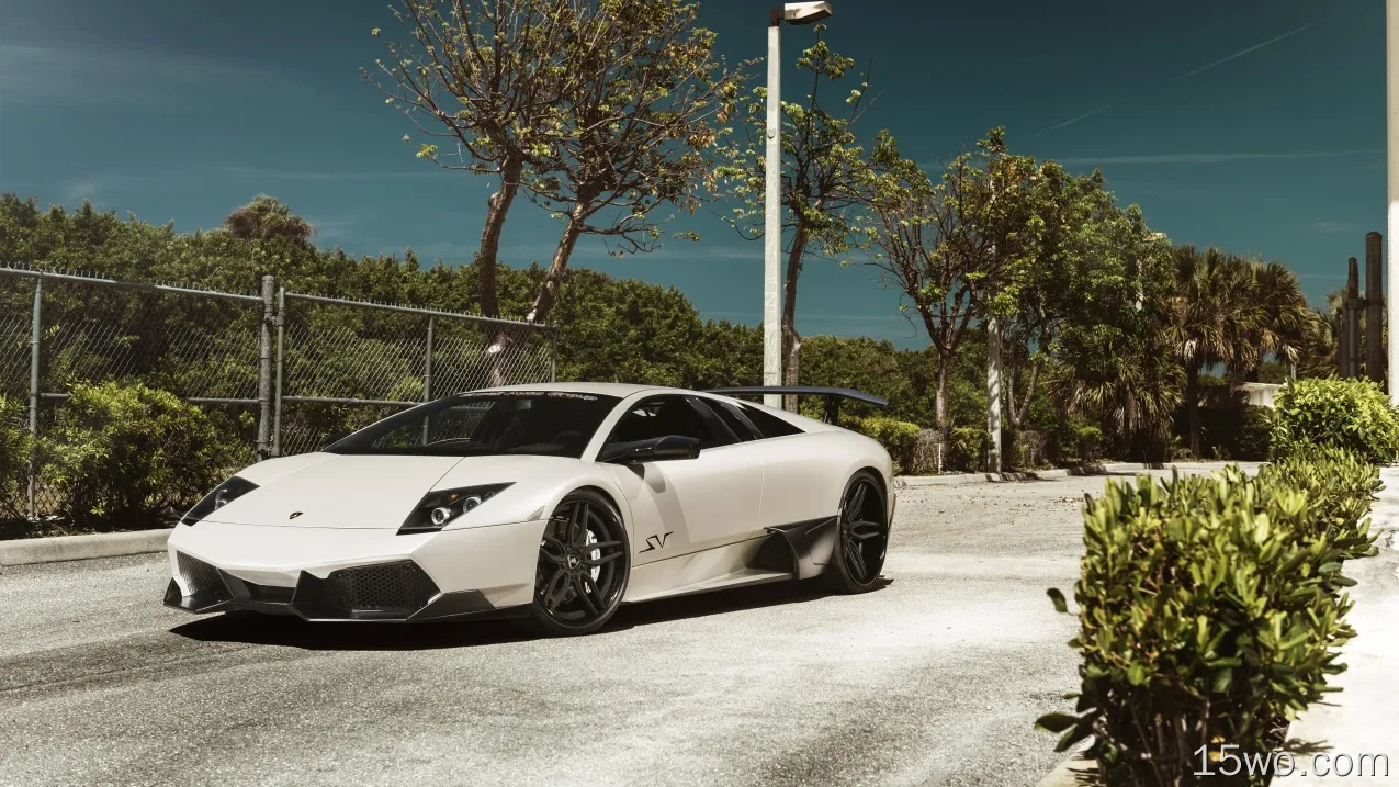 座驾 兰博基尼蝙蝠 兰博基尼 汽车 White Car Supercar Sport Car Lamborghini Murcielago 高清壁纸