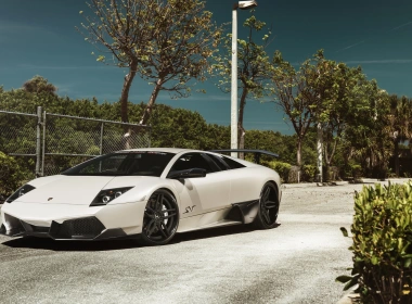 座驾 兰博基尼蝙蝠 兰博基尼 汽车 White Car Supercar Sport Car Lamborghini Murcielago 高清壁纸 3840x2160