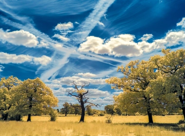 自然 风景 天空 树 云 大自然 高清壁纸 3840x2160