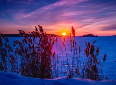 自然 冬季 地球 日落 Snow Silhouette 太阳 高清壁纸 3840x2160
