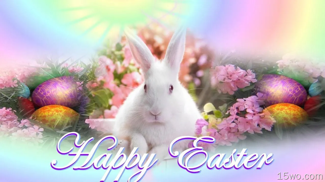 节日 复活节 Bunny Easter Egg 兔子 Happy Easter 高清壁纸