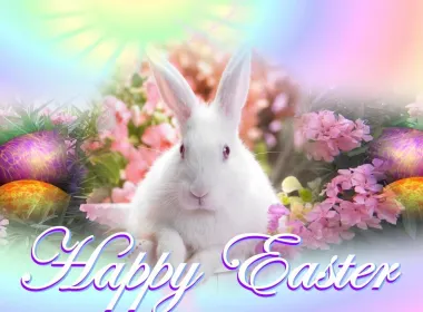 节日 复活节 Bunny Easter Egg 兔子 Happy Easter 高清壁纸 3840x2160