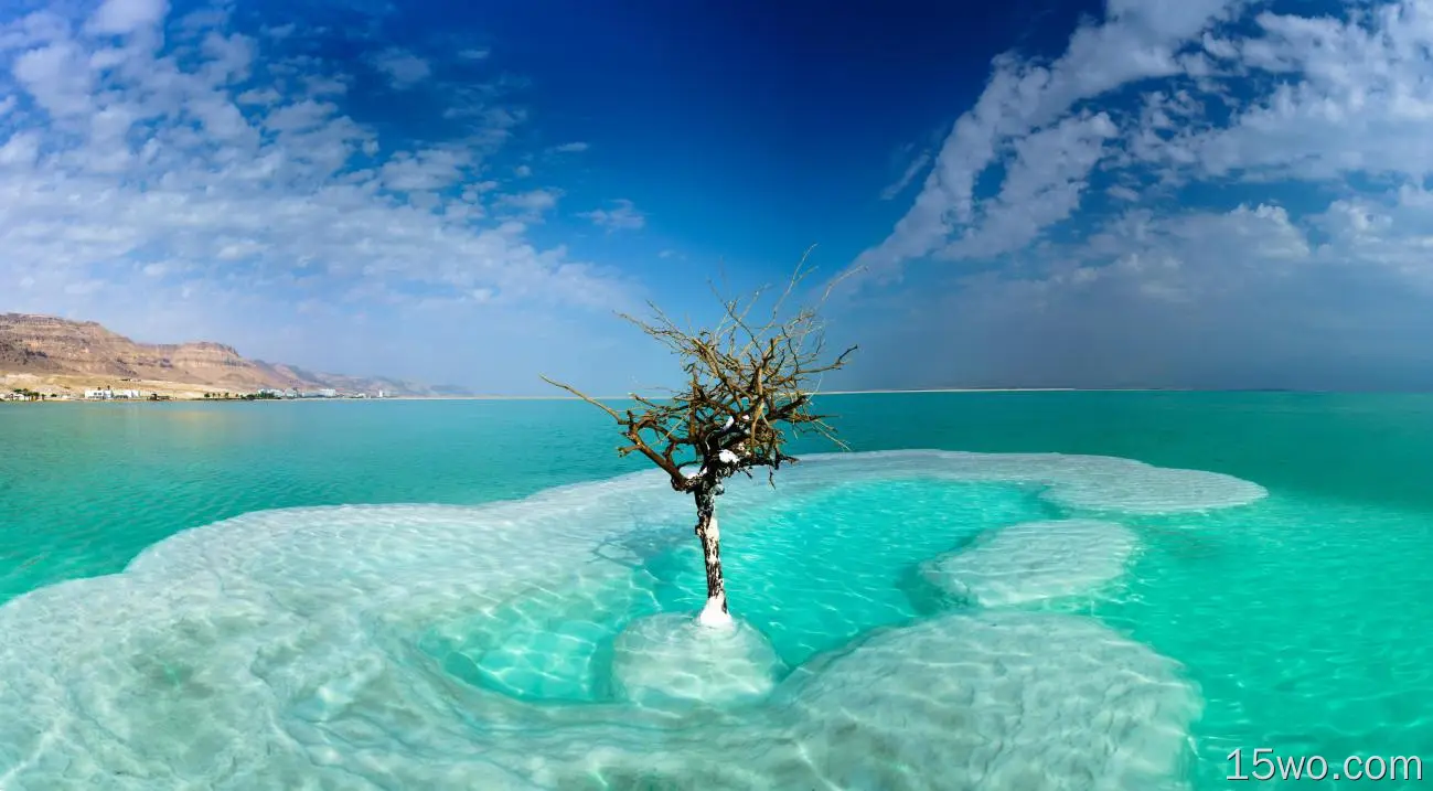 自然 树 Sea Dead Sea 以色列 绿松石 天空 高清壁纸
