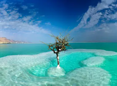 自然 树 Sea Dead Sea 以色列 绿松石 天空 高清壁纸 5120x2827