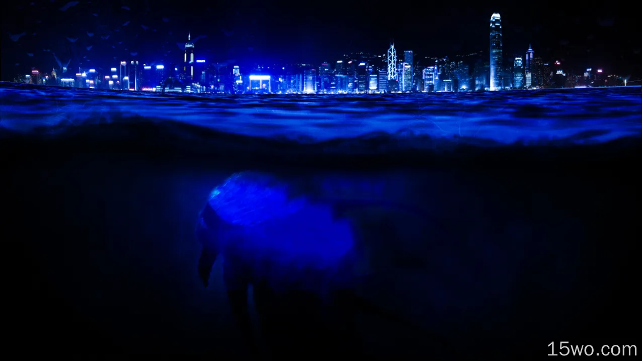 奇幻 海怪 Photoshop Sea Underwater 城市 夜晚 蓝色 高清壁纸