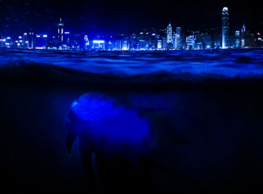 奇幻 海怪 Photoshop Sea Underwater 城市 夜晚 蓝色 高清壁纸 3840x2160